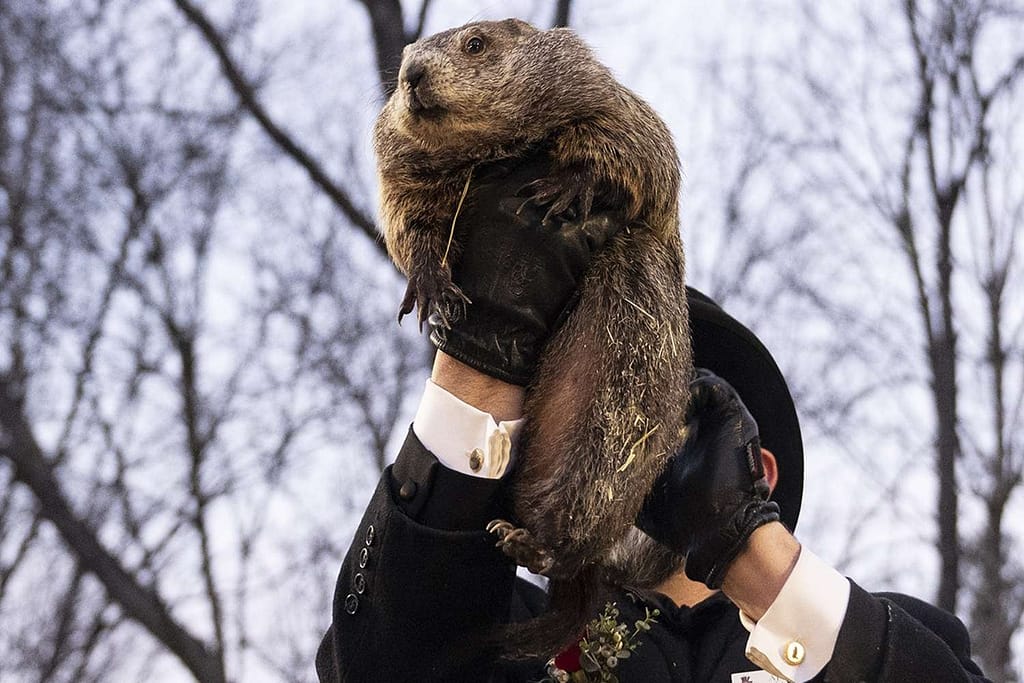 Groundhog Day Pennsylvania 2025 2 013026 741286a05e0749888379e7987b94ec4d